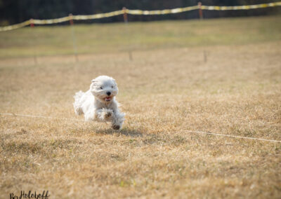 Fling's first Sprinter Run!