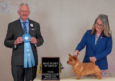 Moxie Best Puppy in Group